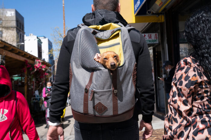 Walking with confidence, symbolizing quality care covered by MetroPlusHealth's 2025 Marketplace plans.